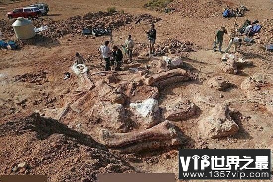 世界上最大的恐龙：阿根廷龙，多张图片展示出巨型恐龙的体型