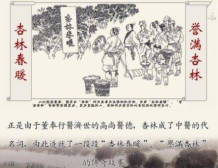 什么“杏林中人”？“杏林中人”中的“杏林”指的是什么？