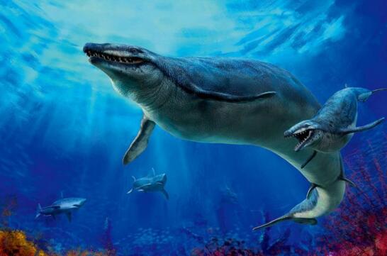 世界上最长的海洋生物图片