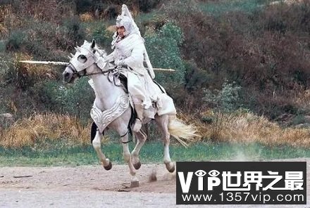 baimawangzi1.jpg