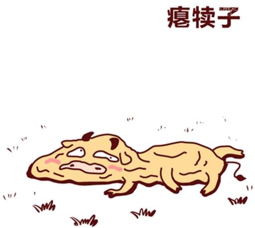 东北话犊子是什么意思?必须得一起见识东北四大神兽