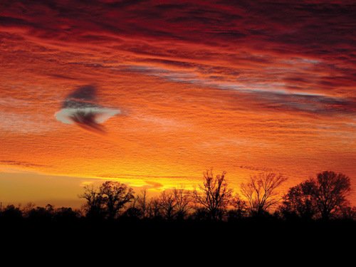 ufo震撼之谜 最恐怖的外星人阴谋真相