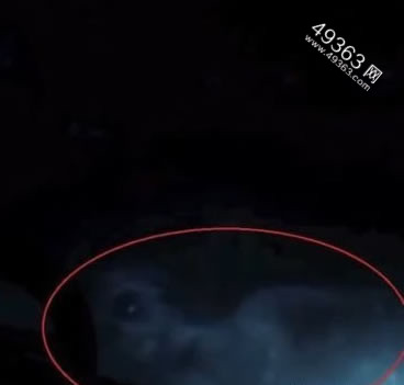 水猴子水鬼图片 传说中的水鬼