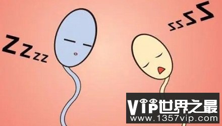 【生理冷知识】小蝌蚪也有不同的“款式”？