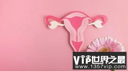 为什么女人比男人更长寿？