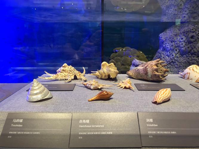 中国十大生物博物馆盘点，中山大学生物博物馆居首位