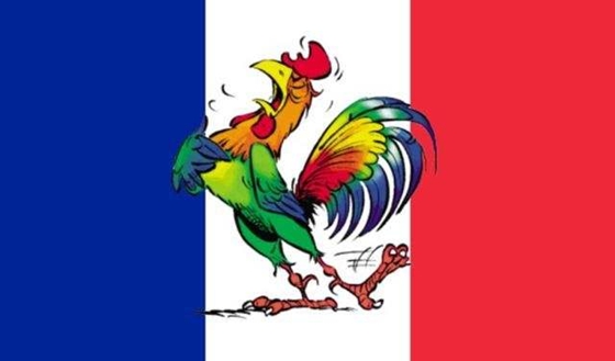 【体育冷知识】法国为什么叫高卢雄鸡？高卢雄鸡是什么意思