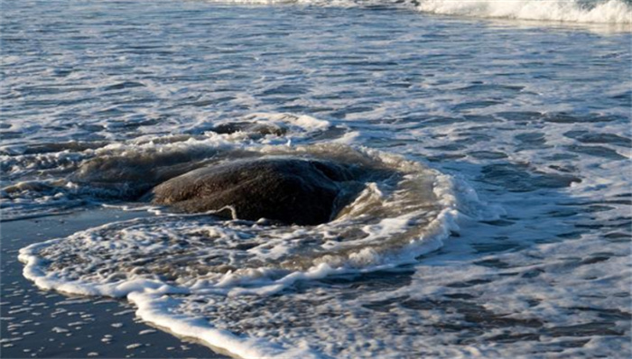 马里亚纳海沟正疯狂吸水 每年约30万吨 为何海平面不降反升