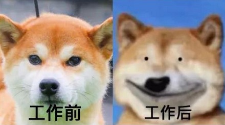网络流行语“累丑”是什么意思？
