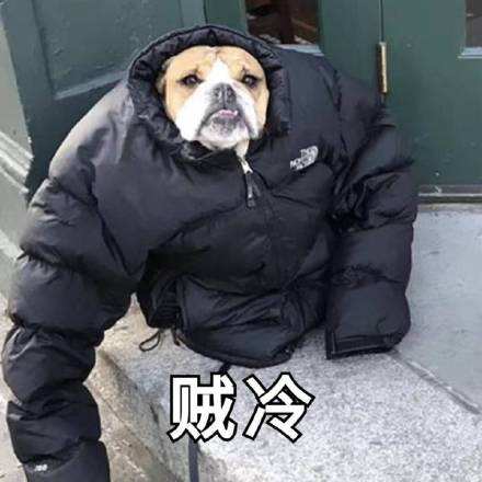 为什么我们寒冷时会颤栗？人为什么在感觉到冷的时候会发抖？