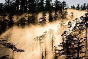 旅游禁地瓦屋山迷魂凼，被称陆地百慕大三角能