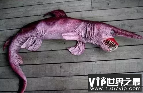 微信截图_20200106102307.png