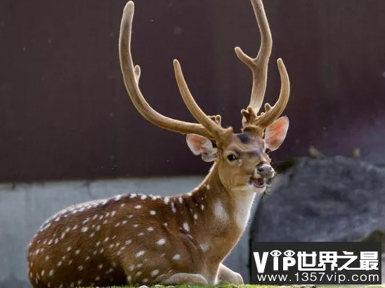 微信截图_20200106102307.png