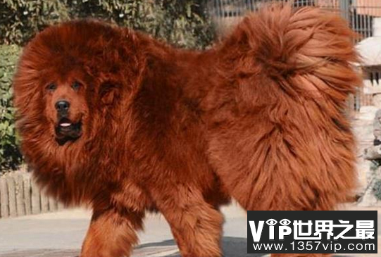 微信截图_20200106102307.png