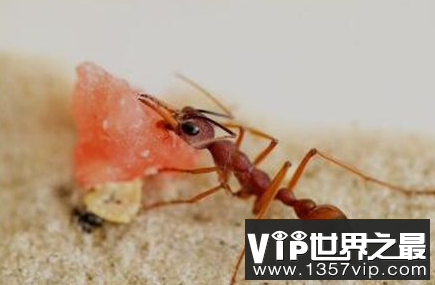 微信截图_20200205094912.png