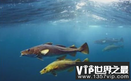 微信截图_20200205094912.png