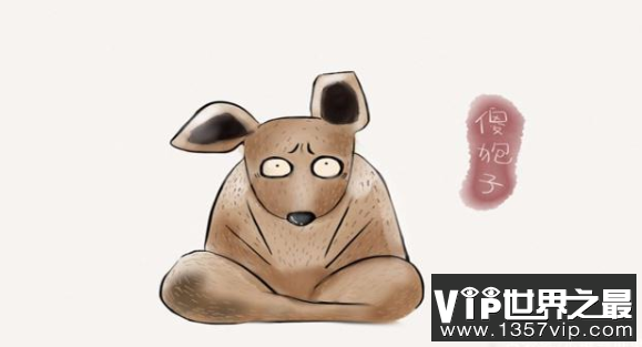 TIM20190806165545.png