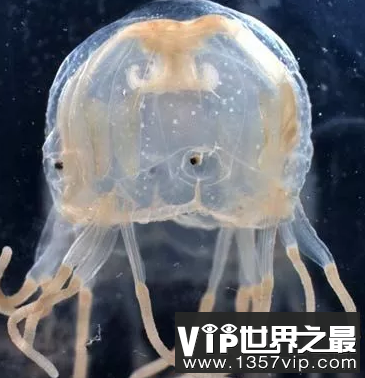 微信截图_20200401111937.png