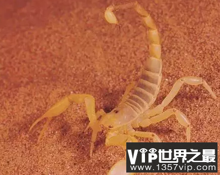 微信截图_20200106102307.png