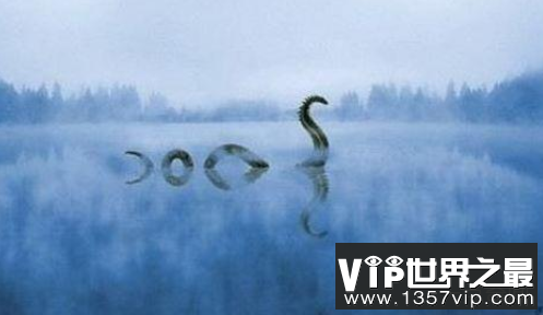六大神秘生物未解之谜