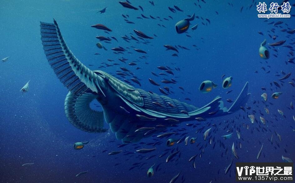 寒武纪十大恐怖生物：奇虾成地球霸主 恐龙是它晚辈