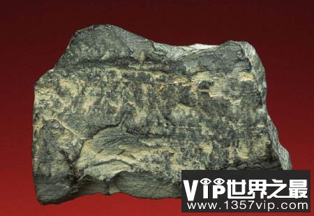 未来的固体石油—油页岩