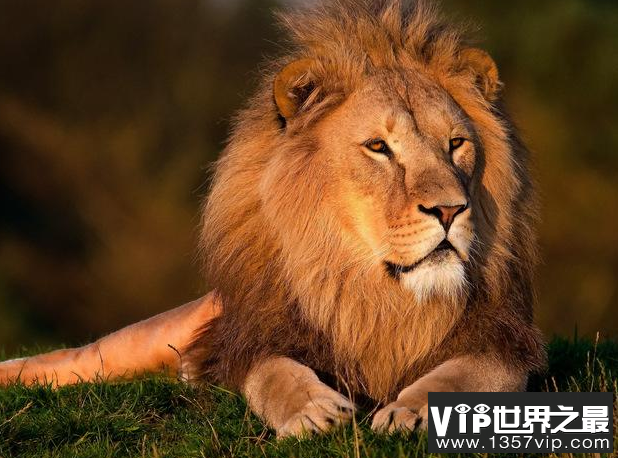 微信截图_20200106102307.png