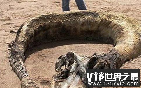 微信截图_20200401111937.png