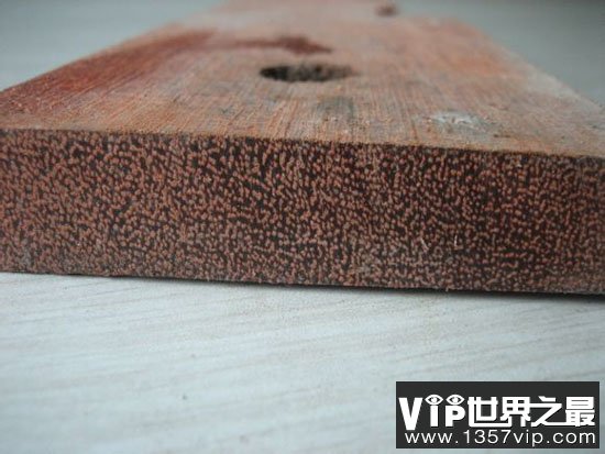 世界上最轻和最重的木头分别是什么