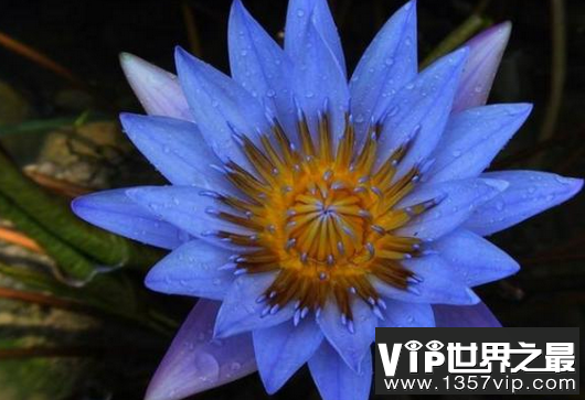 微信截图_20200401111937.png