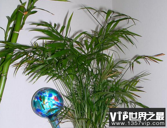 微信截图_20200205094912.png