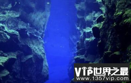 世界上最深的海沟里有生物吗？