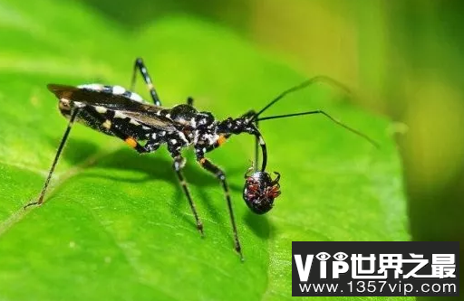 微信截图_20200106102307.png