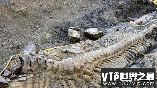 青海湖海底惊现12米巨型真龙，真龙图片曝光震惊众人