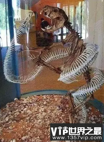 微信截图_20200106102307.png