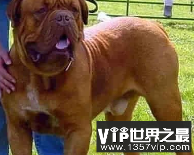 微信截图_20200106102307.png