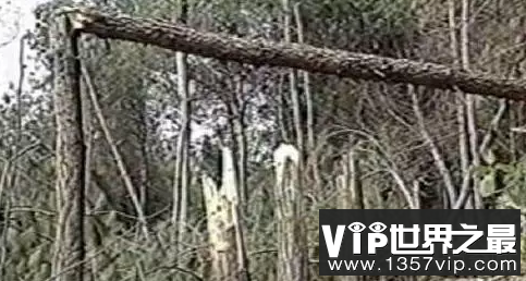 中国三大ufo未解之谜 中国三大ufo悬案