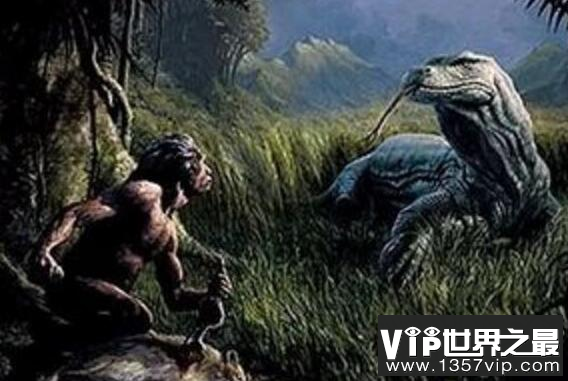 澳洲魔龙灭绝之谜，4万年前被人类杀光