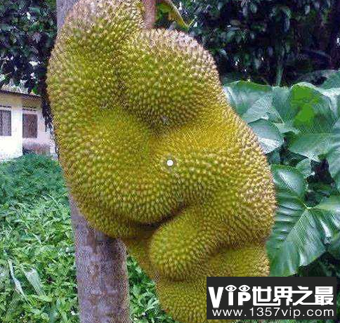 微信截图_20200401111937.png