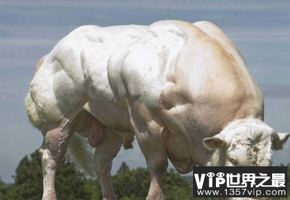 微信截图_20200106102307.png