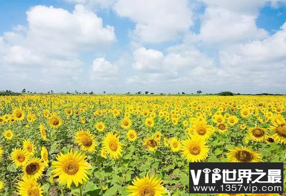 微信截图_20200106102307.png