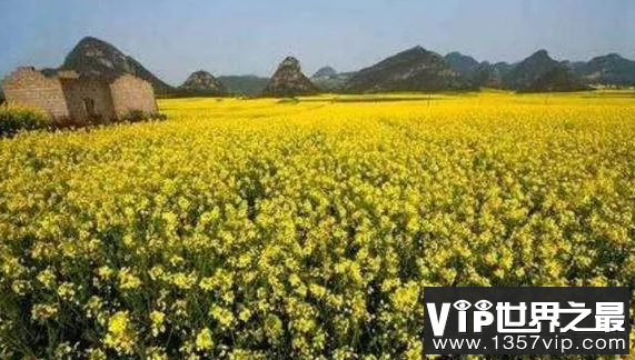 微信截图_20200106102307.png