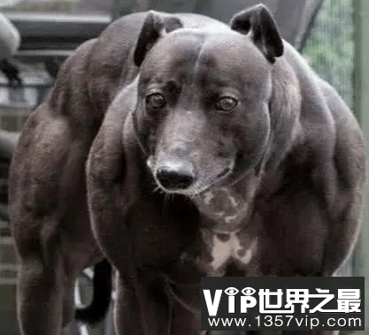 微信截图_20200106102307.png