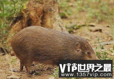 微信截图_20200106102307.png