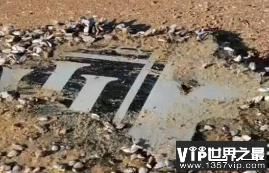 马航h370中国不敢公布？马航上失踪的人员去哪了