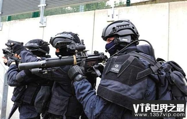 法国宪兵特勤队