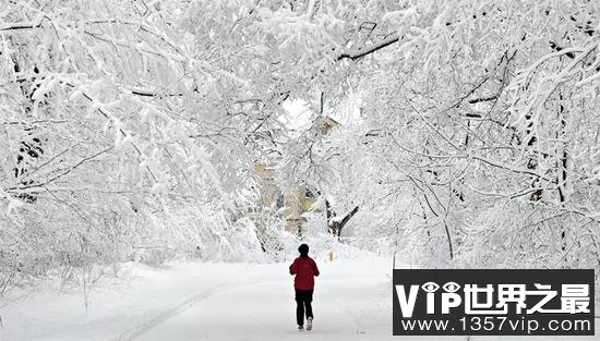 为什么一下雪 世界就变得很安静