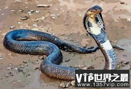 微信截图_20200401175955.png