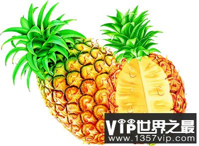 菠萝的籽长在什么地方