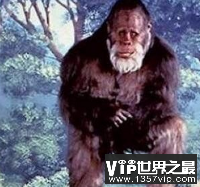 世界上未知的诡异生物，是真的存在还是外星异形